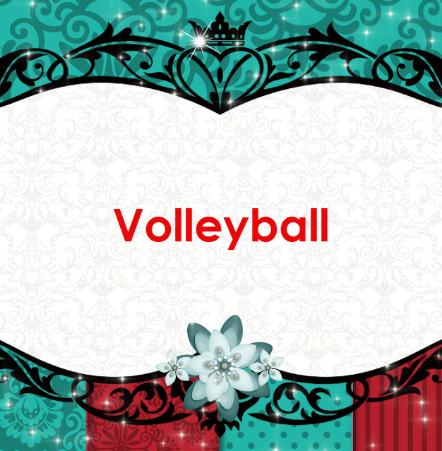 Volleyball